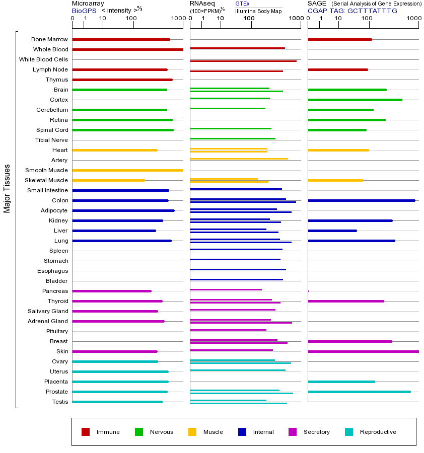 Gene expression across tissues