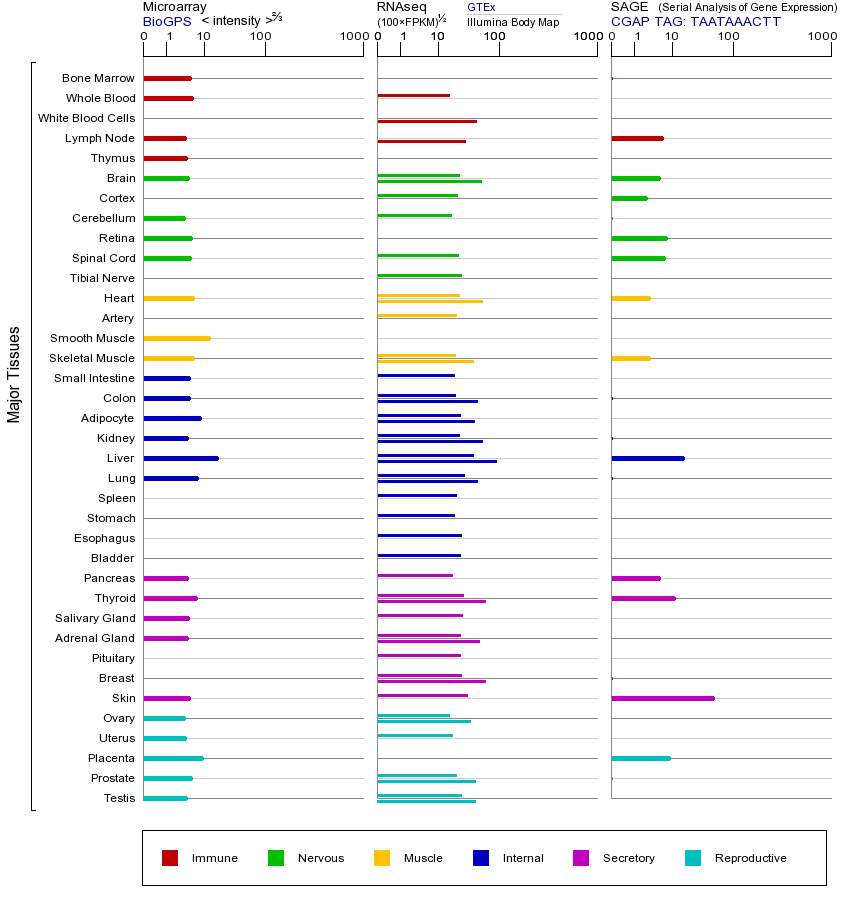 Gene expression across tissues