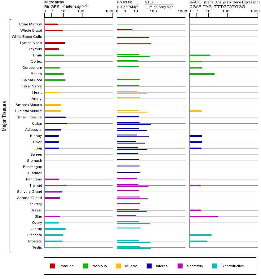 Gene expression across tissues