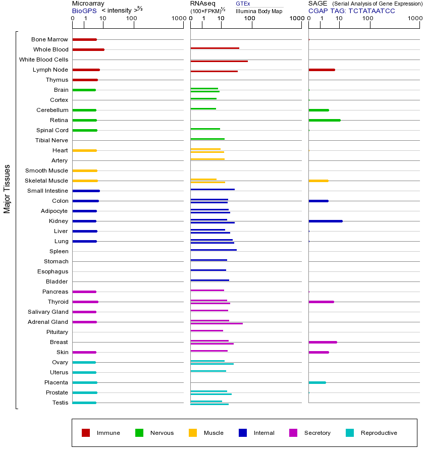 Gene expression across tissues