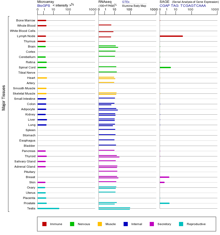Gene expression across tissues