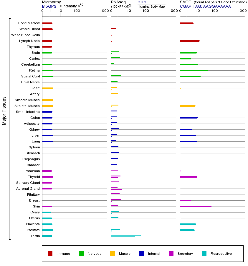 Gene expression across tissues