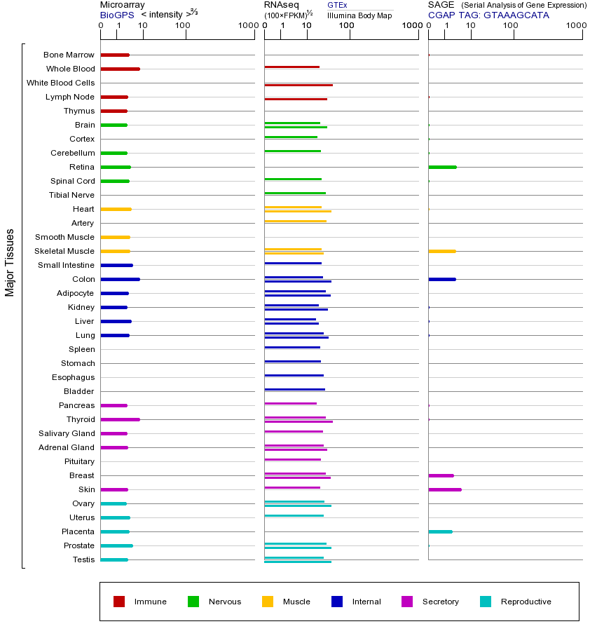 Gene expression across tissues