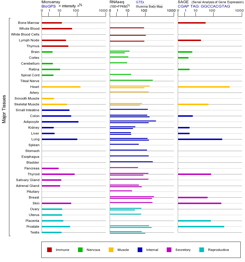 Gene expression across tissues