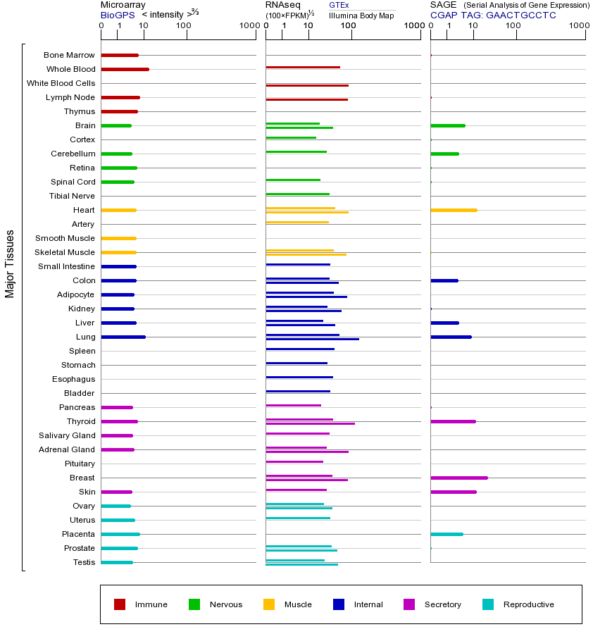Gene expression across tissues