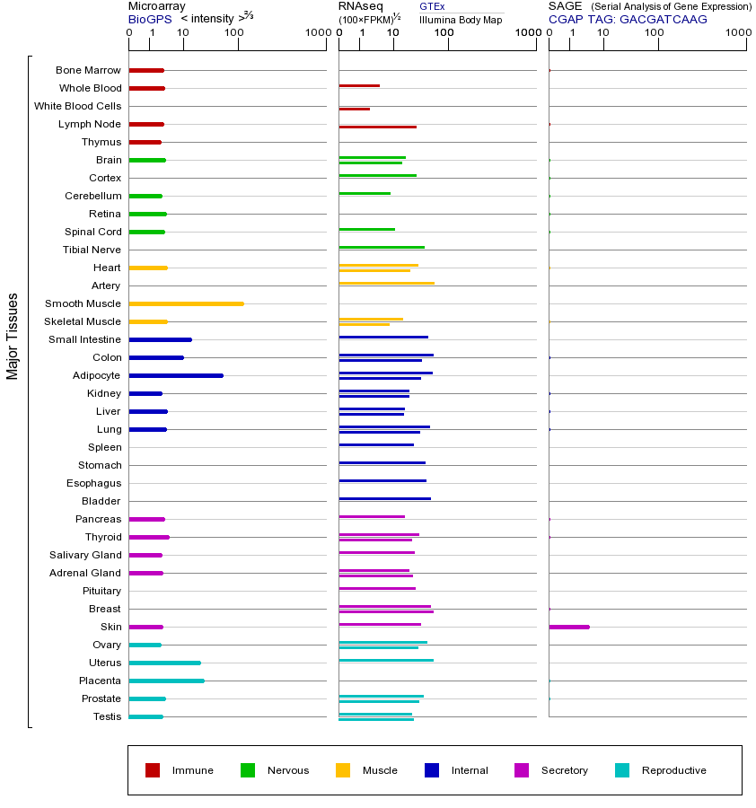 Gene expression across tissues
