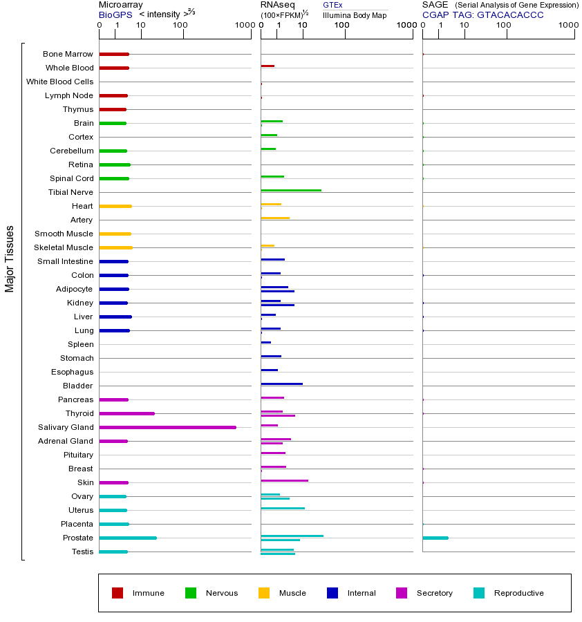 Gene expression across tissues