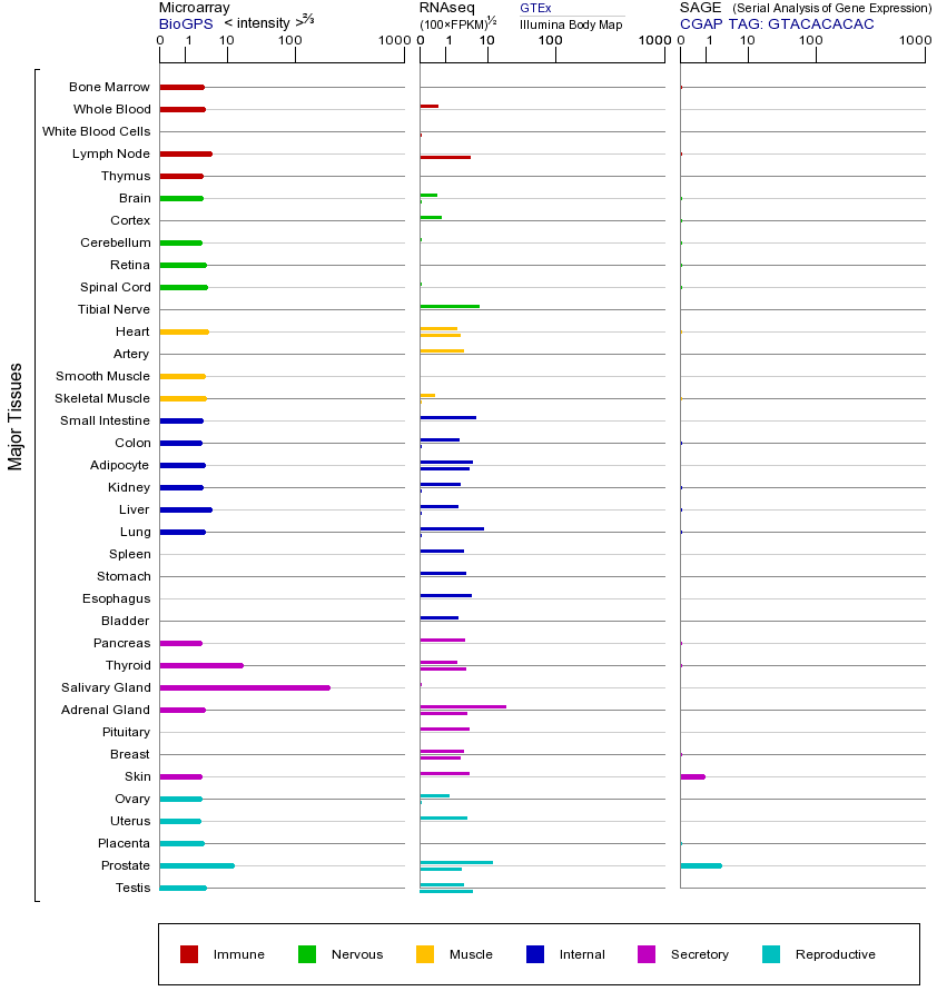 Gene expression across tissues
