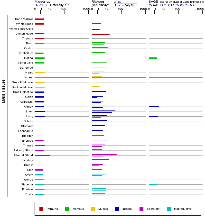 Gene expression across tissues