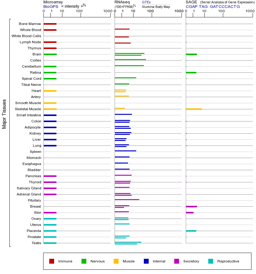 Gene expression across tissues