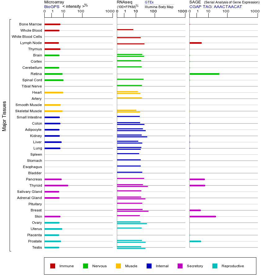 Gene expression across tissues