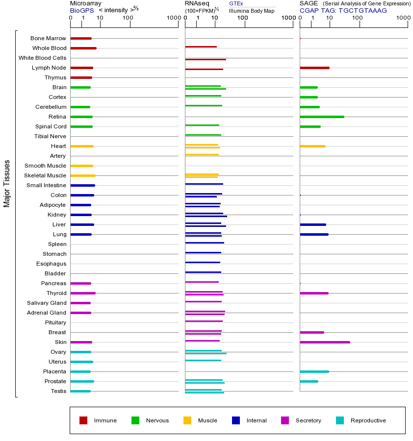 Gene expression across tissues