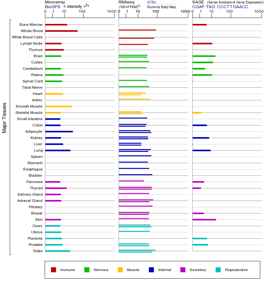 Gene expression across tissues