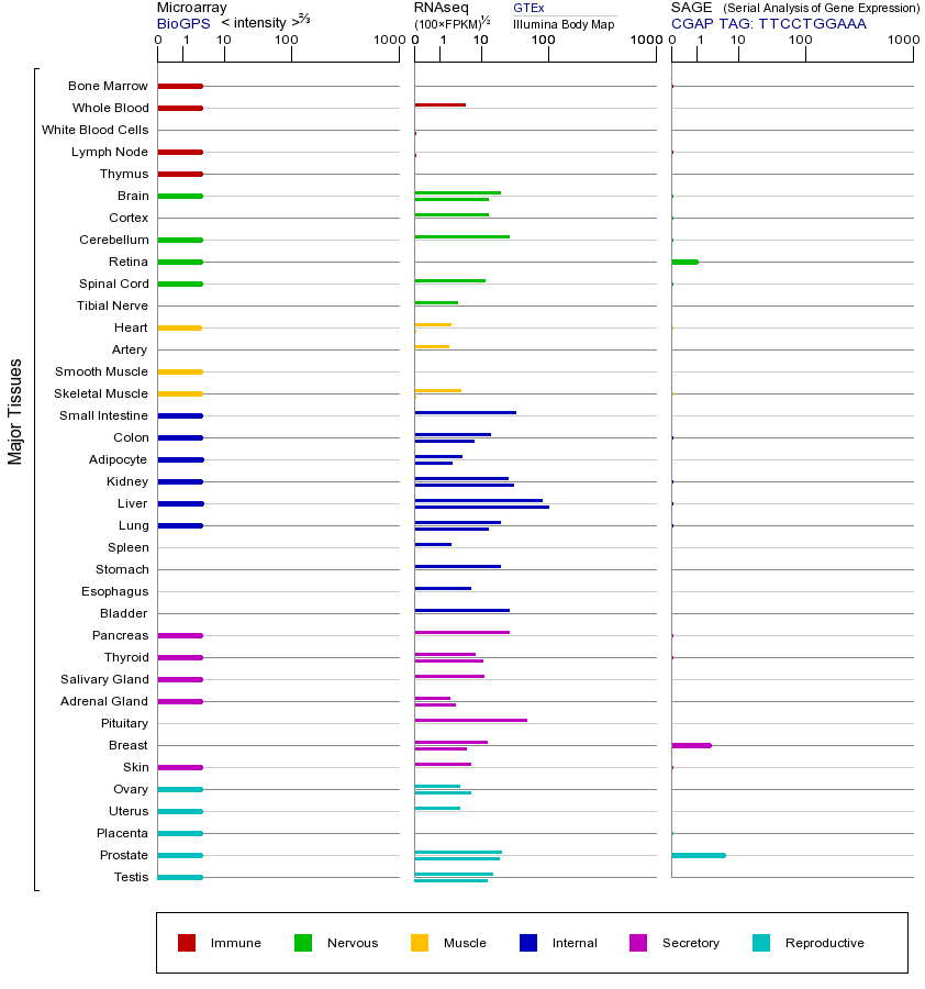 Gene expression across tissues