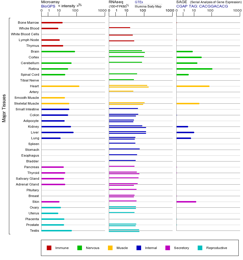 Gene expression across tissues
