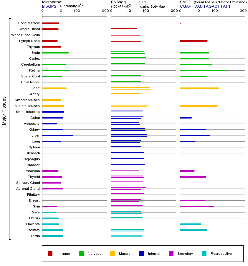 Gene expression across tissues