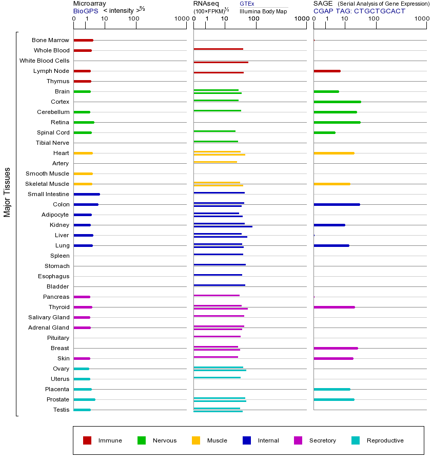 Gene expression across tissues