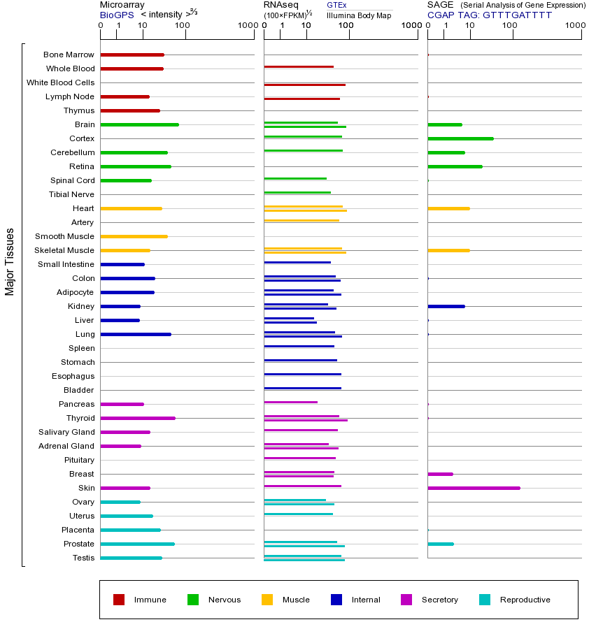 Gene expression across tissues