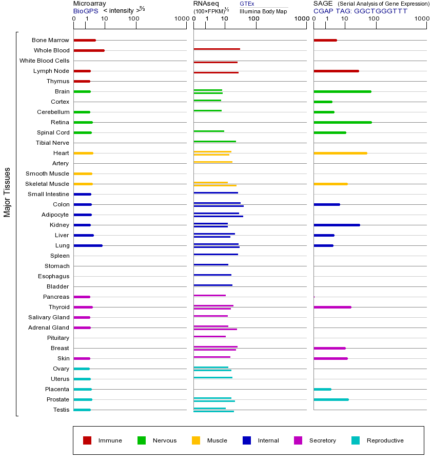 Gene expression across tissues