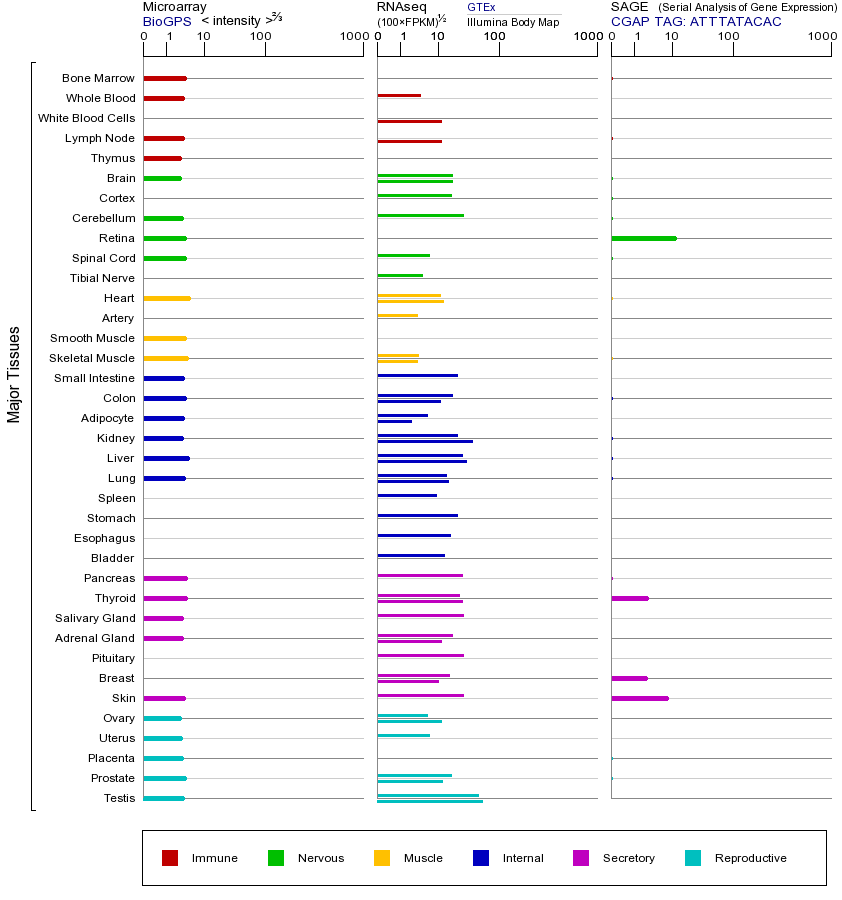 Gene expression across tissues