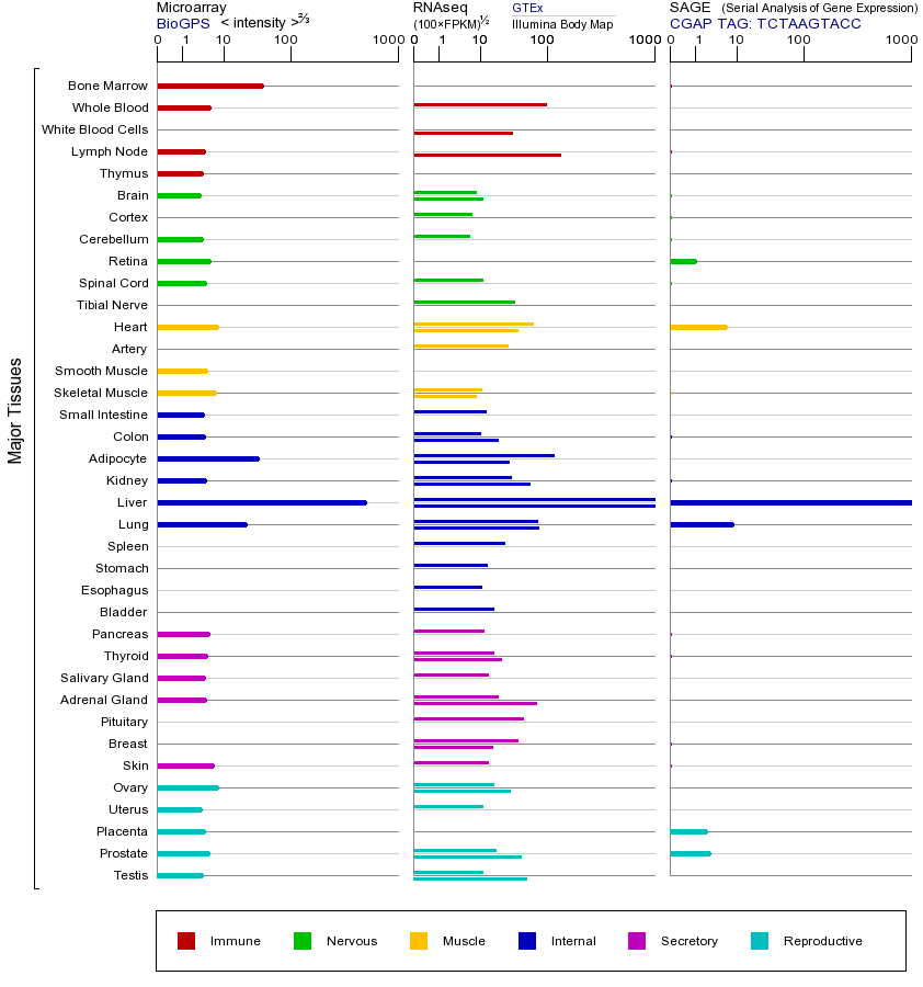 Gene expression across tissues