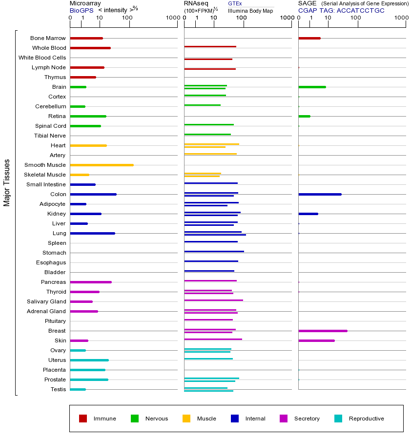 Gene expression across tissues