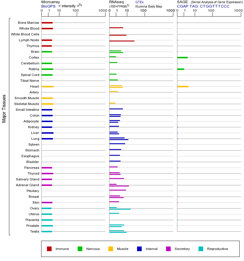Gene expression across tissues