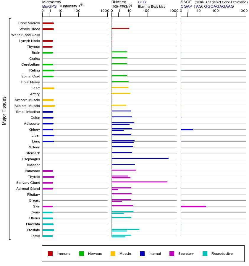 Gene expression across tissues