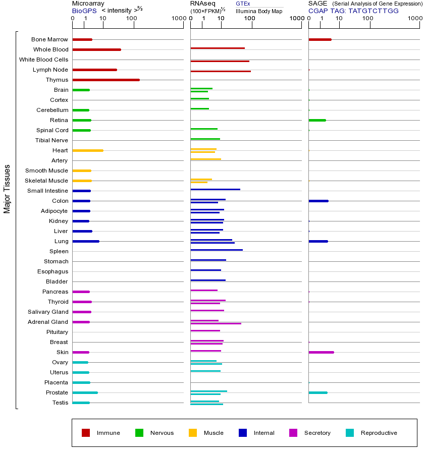 Gene expression across tissues