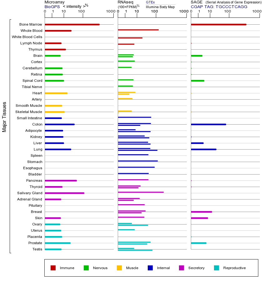 Gene expression across tissues