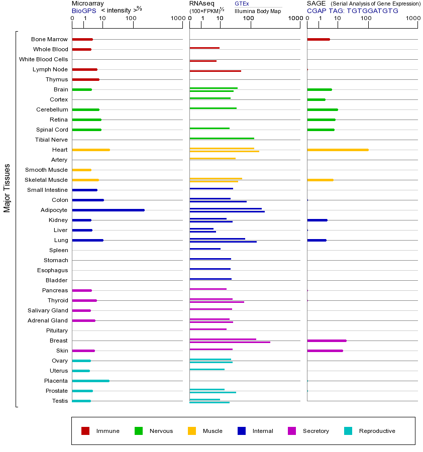 Gene expression across tissues