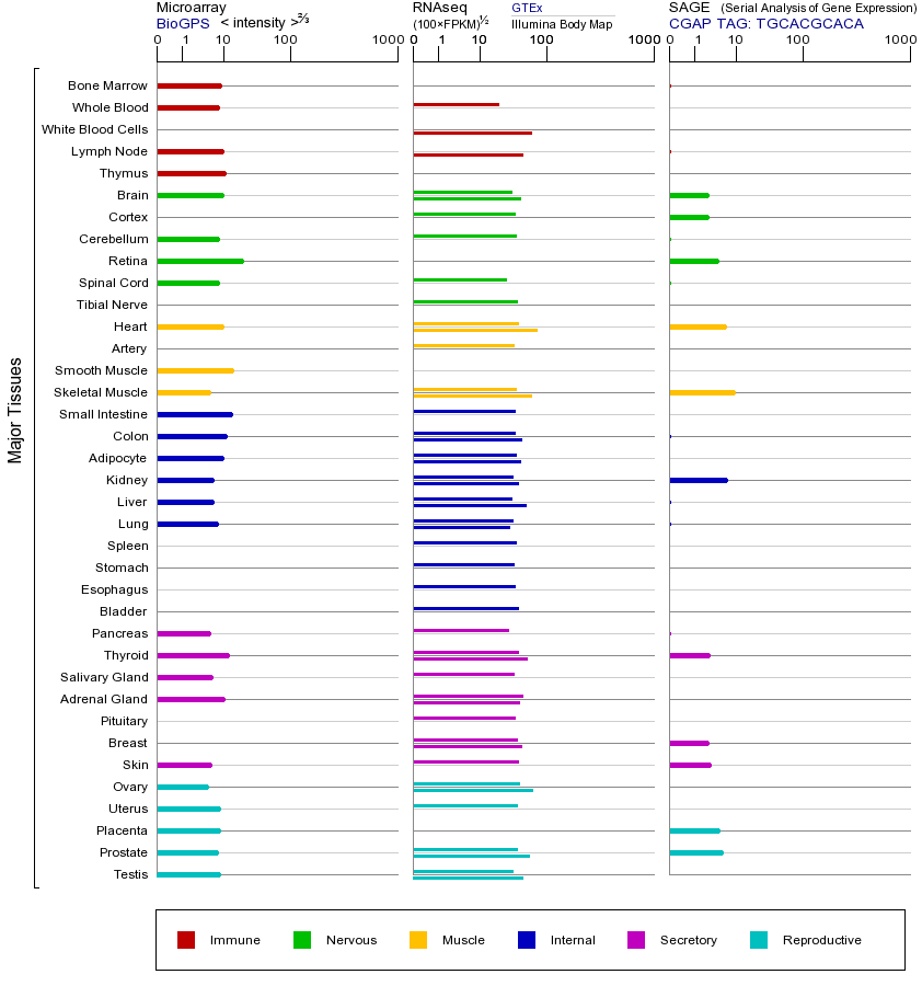 Gene expression across tissues