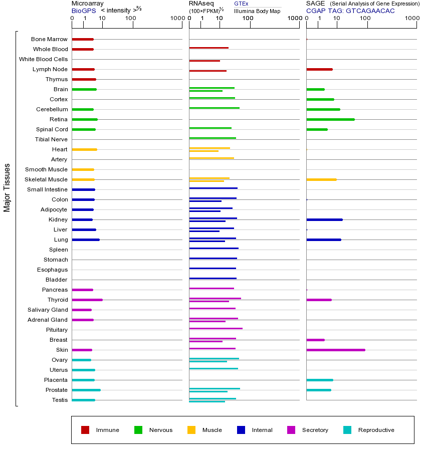 Gene expression across tissues