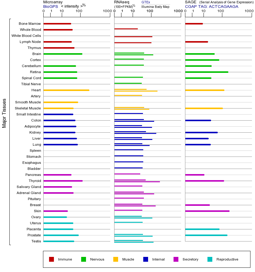 Gene expression across tissues