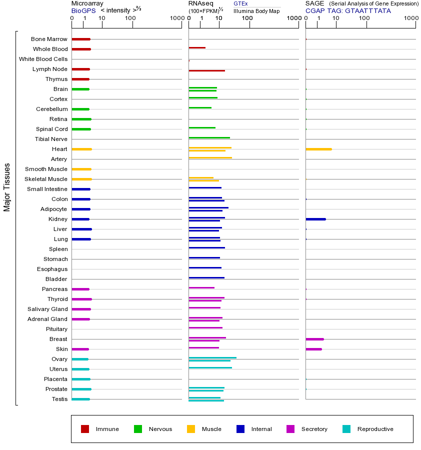 Gene expression across tissues
