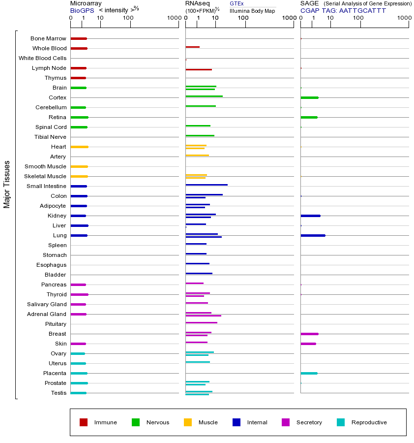 Gene expression across tissues