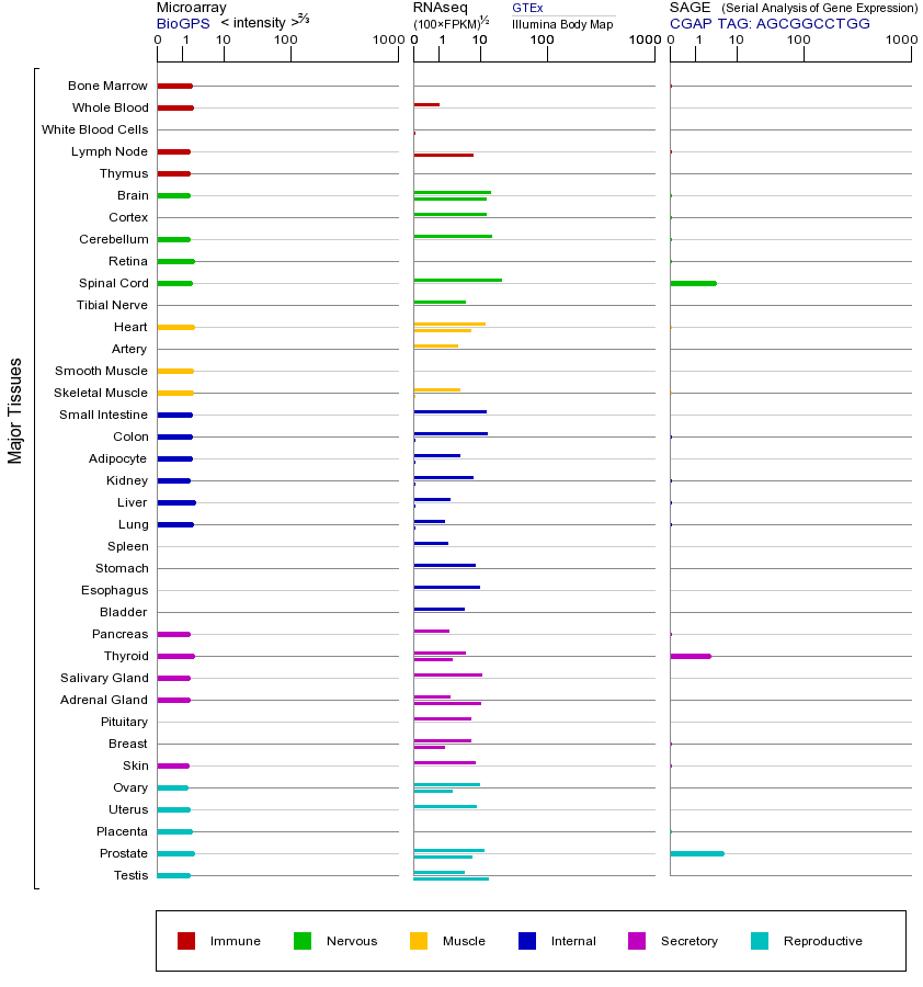 Gene expression across tissues