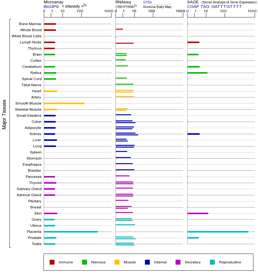 Gene expression across tissues
