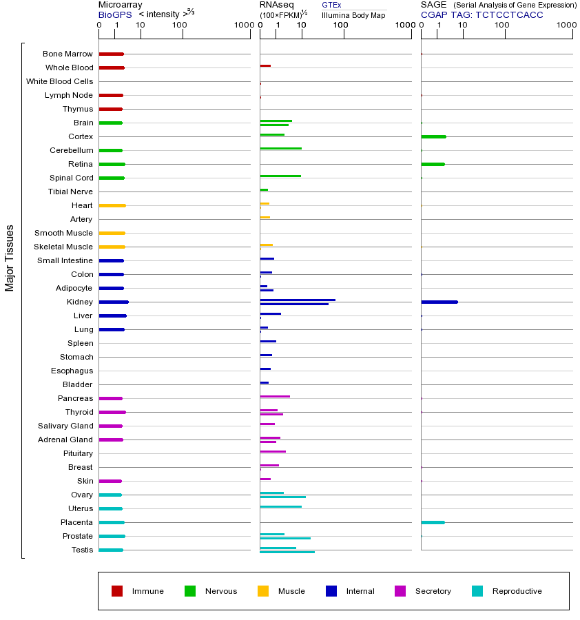 Gene expression across tissues