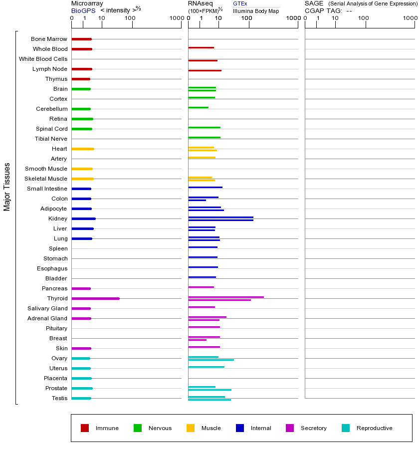 Gene expression across tissues
