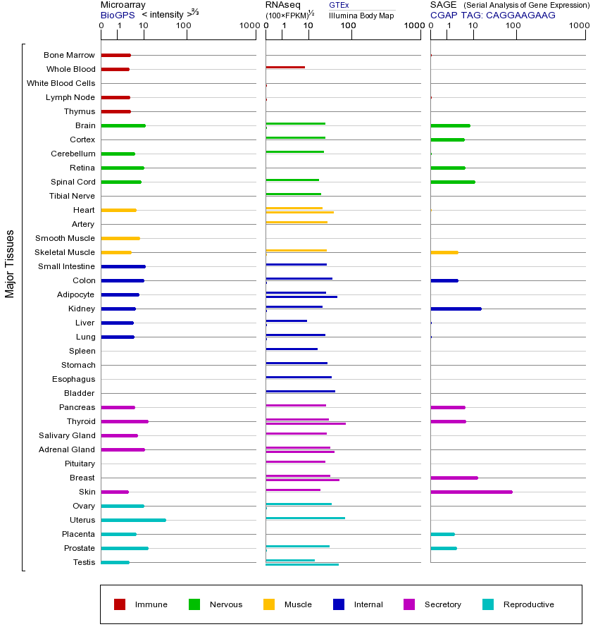Gene expression across tissues