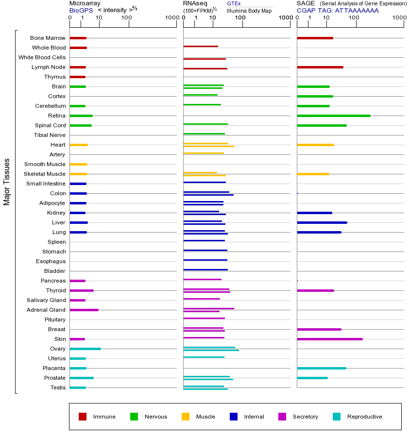 Gene expression across tissues