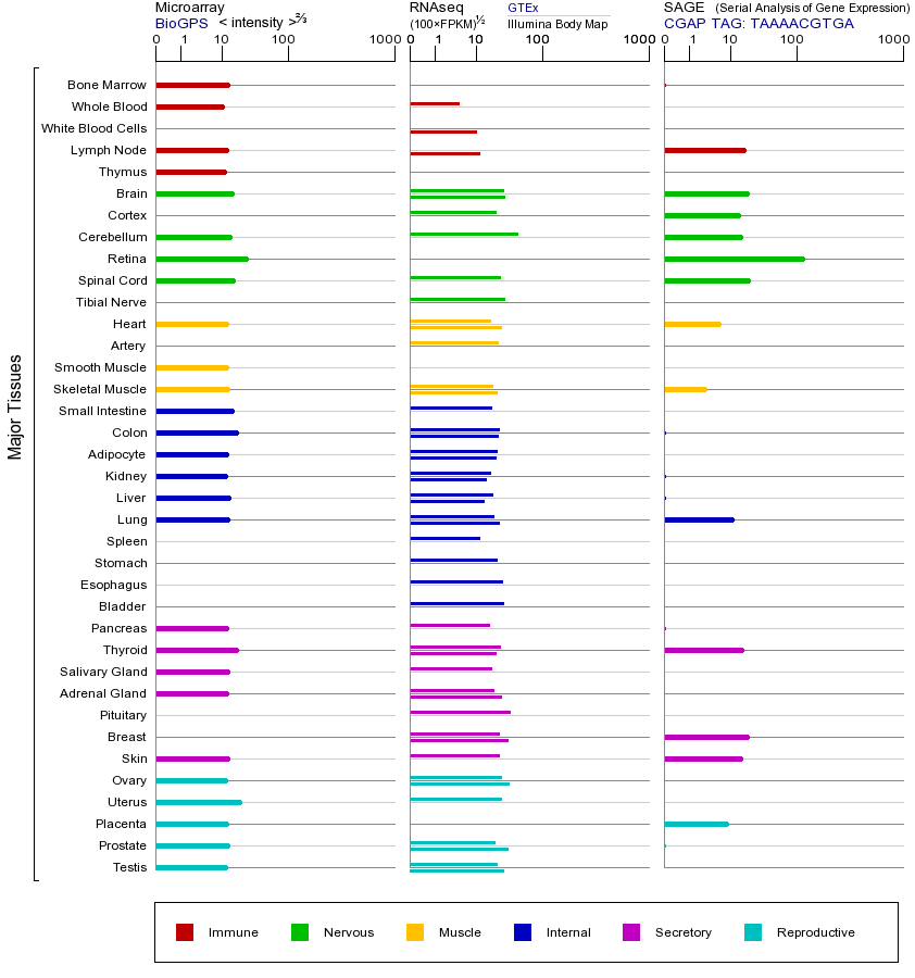 Gene expression across tissues