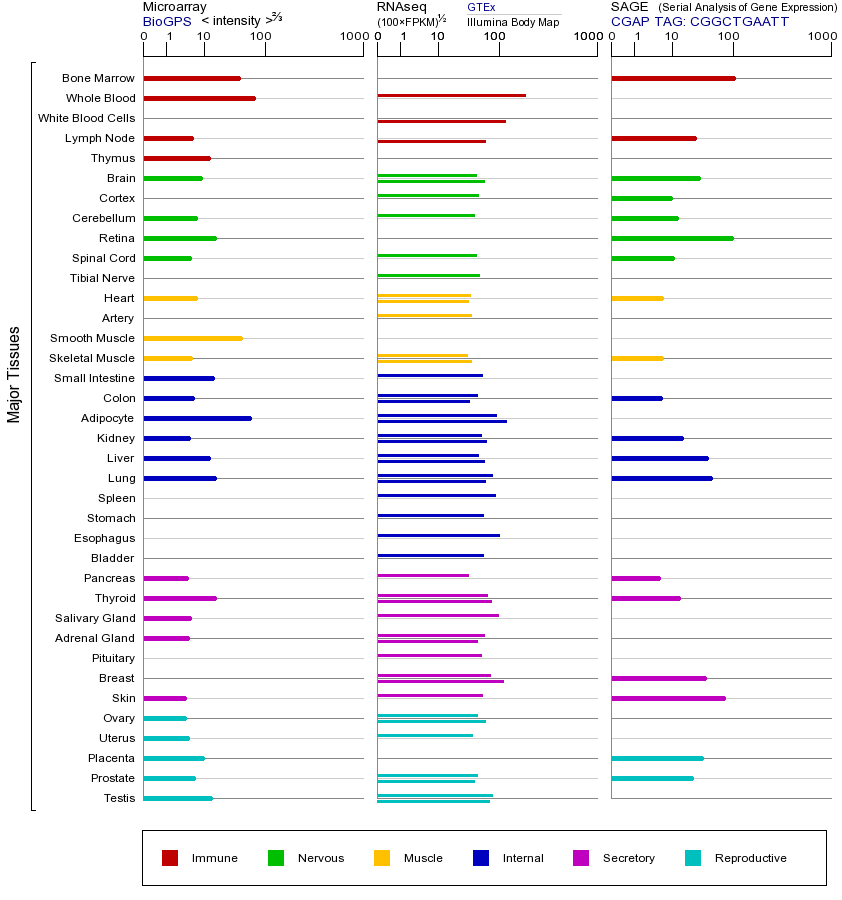 Gene expression across tissues