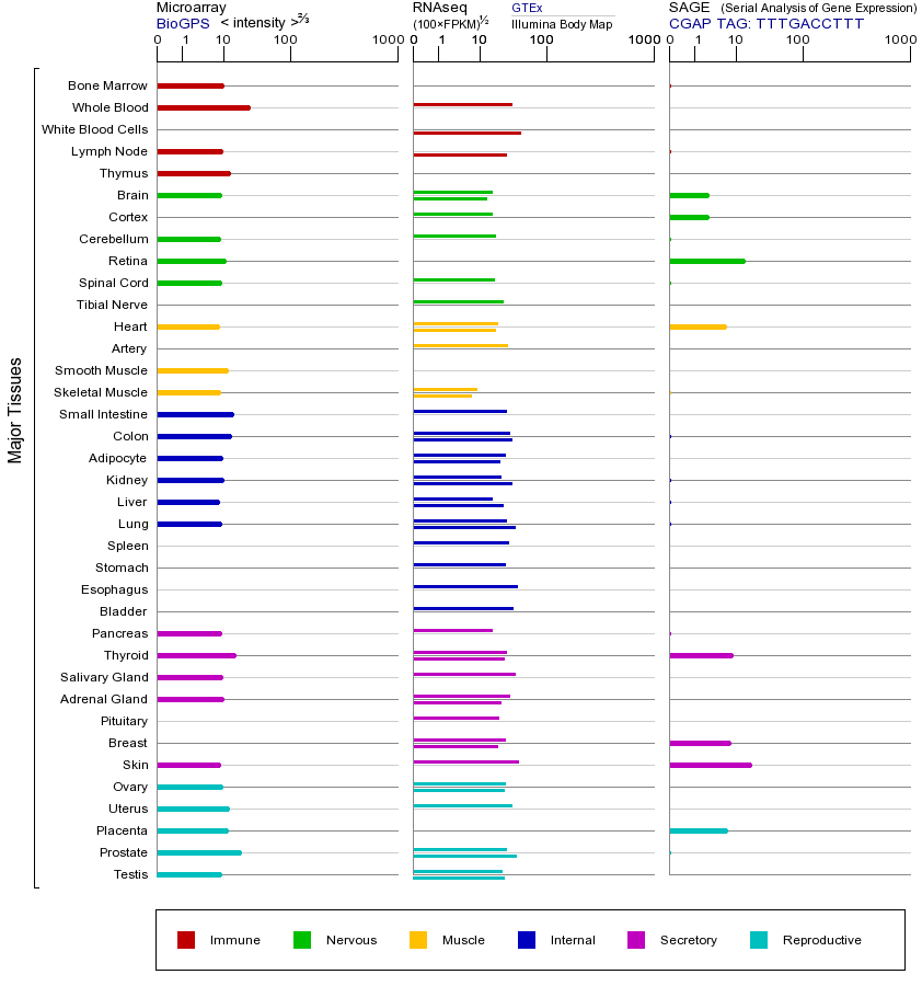Gene expression across tissues