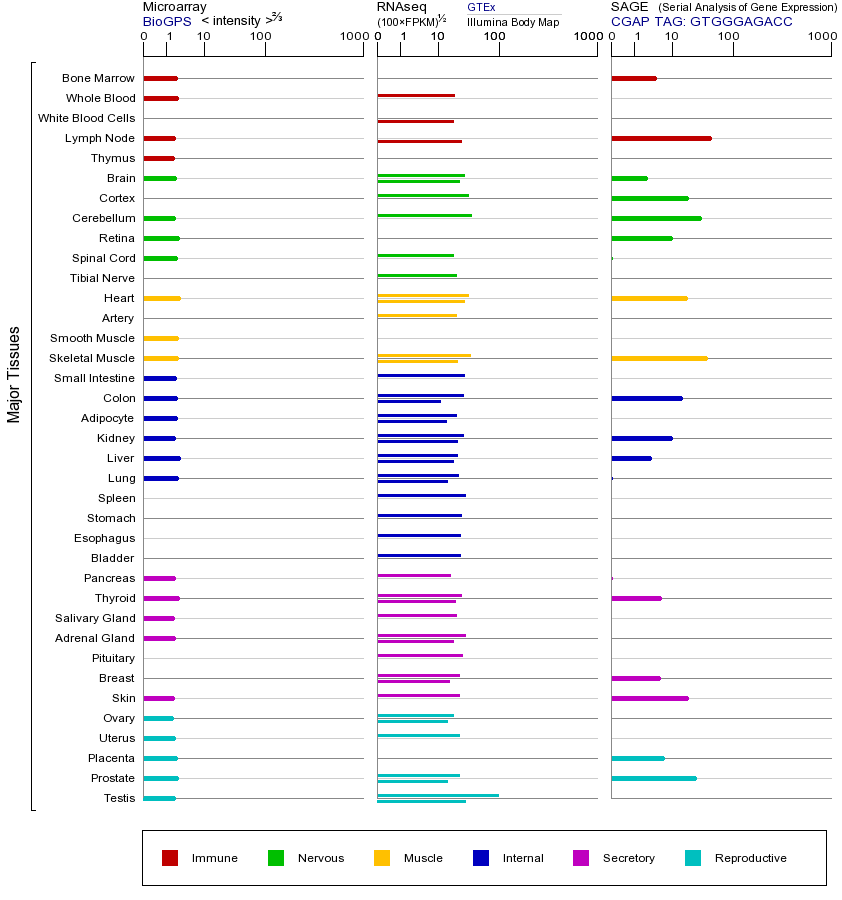 Gene expression across tissues