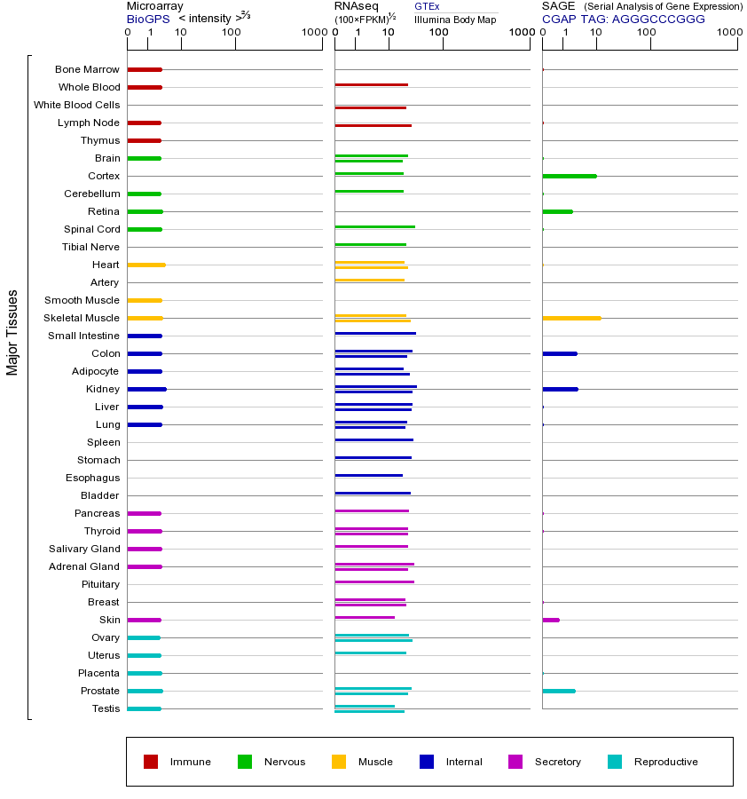 Gene expression across tissues
