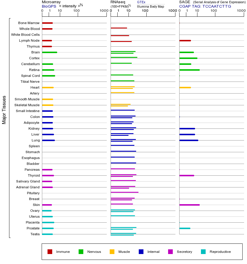 Gene expression across tissues