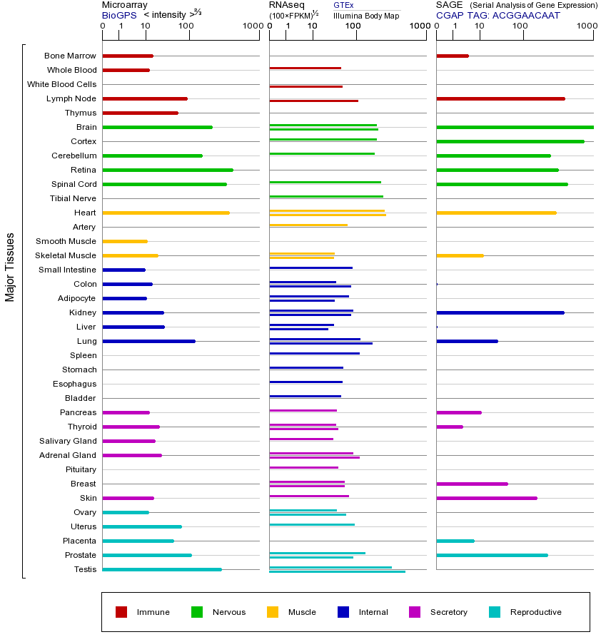 Gene expression across tissues