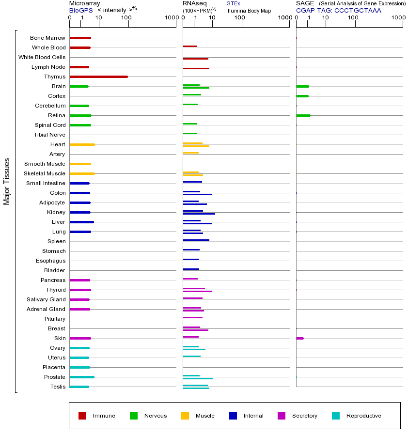 Gene expression across tissues